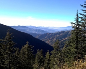 kufri mountain himachal